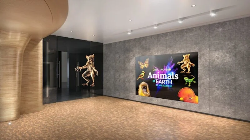 The modern reception area with wooden and gray stone walls has a large digital display that displays colorful images of animals and text 