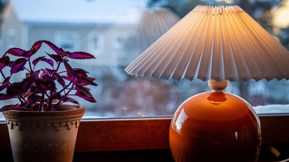 A picture of a painted nettle and a light bulb in front of a window with a snowy landscape outside.