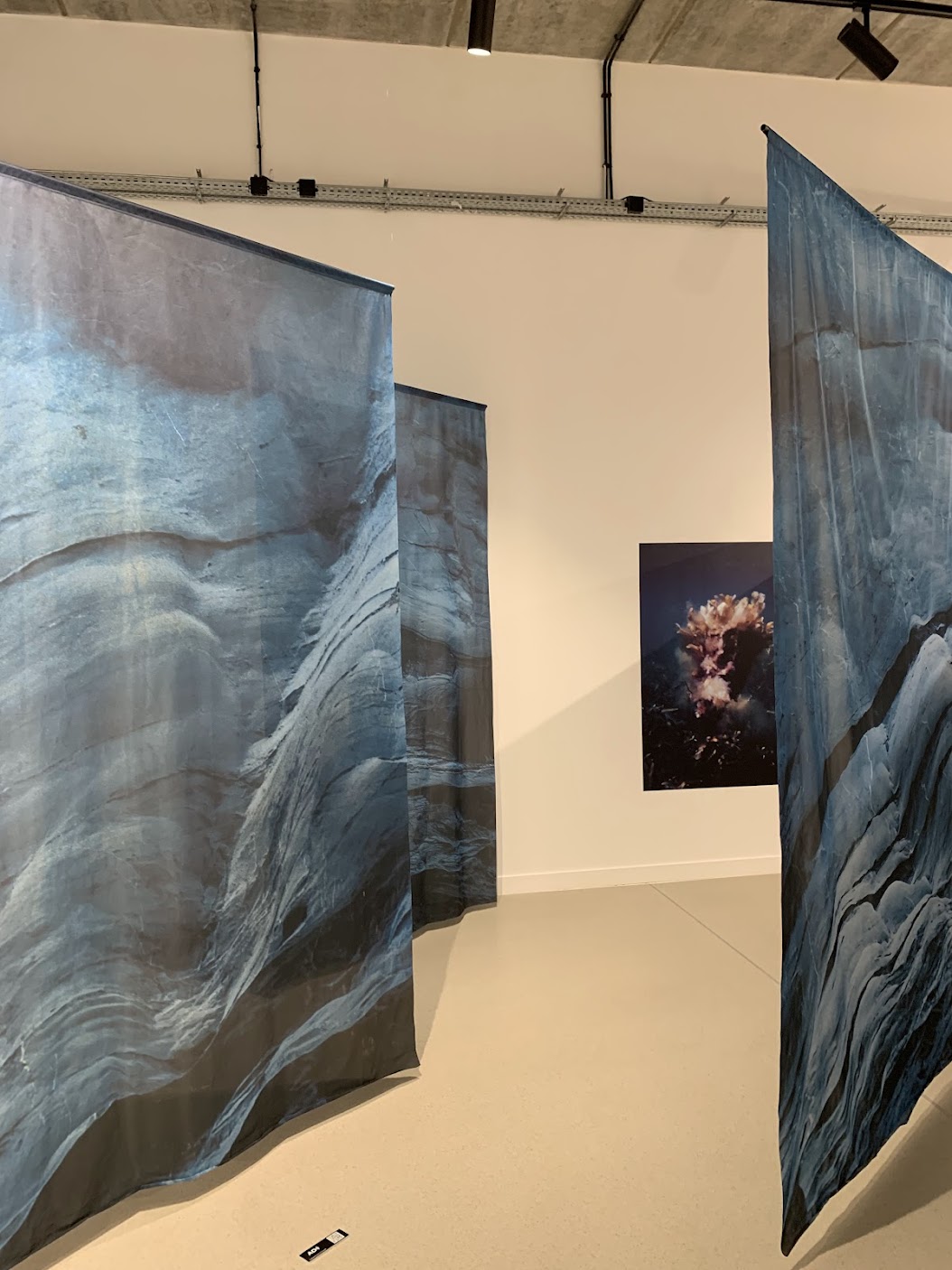 Belarusian Photos Conquer Poland's Rybnik: Books by Belarusian Authors Gain Strong Interest at International Photo Festival