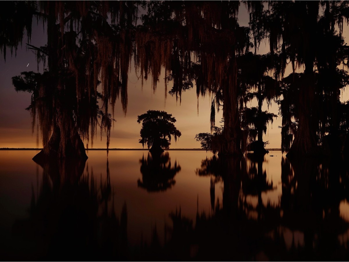 Frank Relle Captures Enigmatic Louisiana Swamplands in Nightly Photos