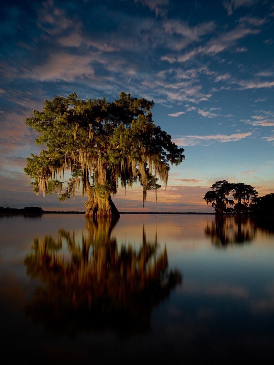 Frank Relle Captures Enigmatic Louisiana Swamplands in Nightly Photos