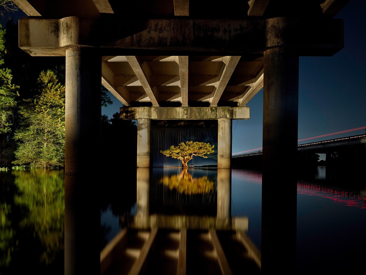 Frank Relle Captures Enigmatic Louisiana Swamplands in Nightly Photos