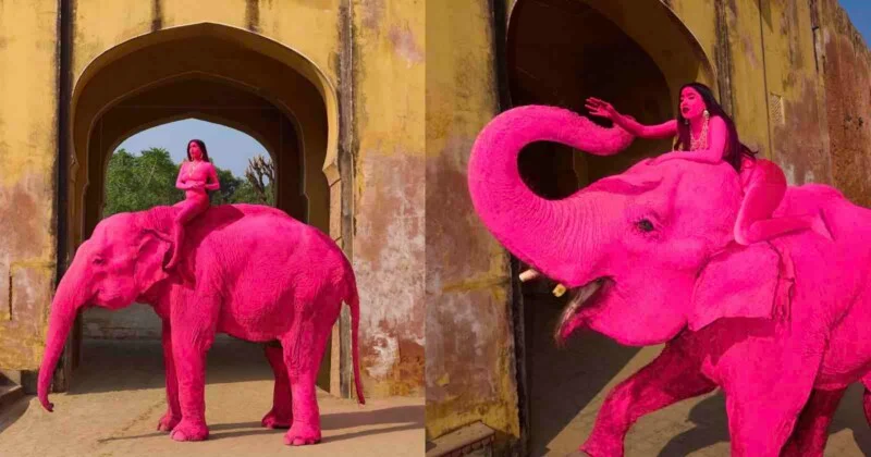 A woman dressed in pink is sitting on a bright pink elephant, passing through a door with yellow walls, shown on two opposite sides.