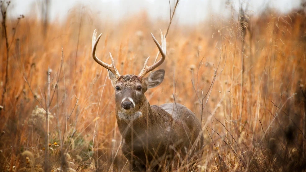 Doug Graham is well-known in Northern Virginia for taking amazing pictures of rural life in Loudoun County. (Photo by Doug Graham) 