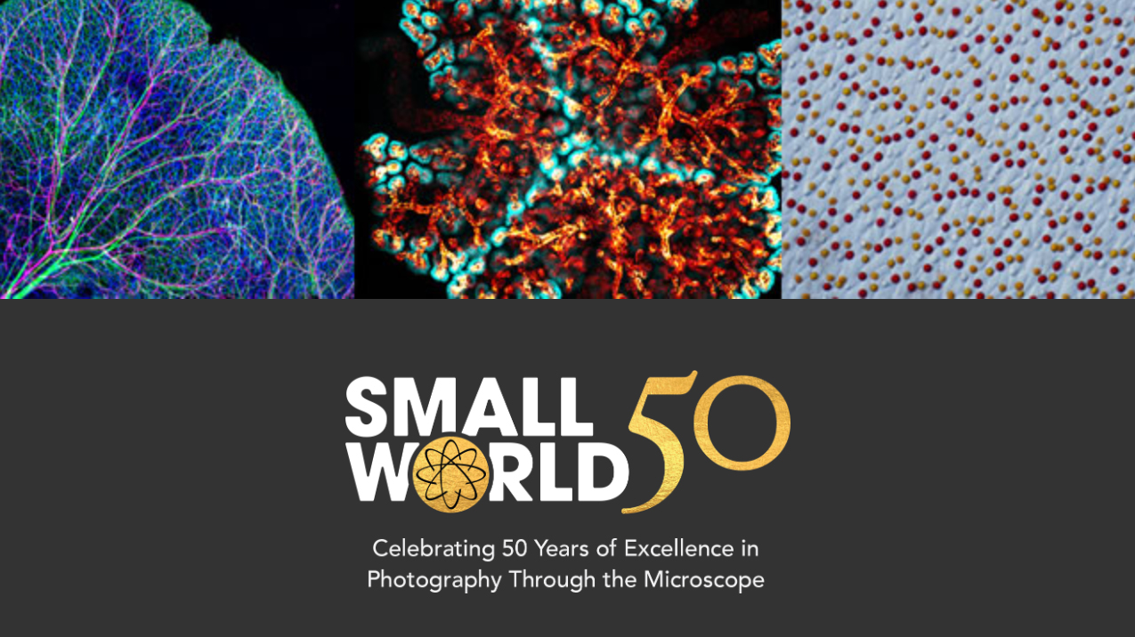 A row of thumbnails showing colorful mobile structures with text "Small World 50" to celebrate 50 years of microscopic photography