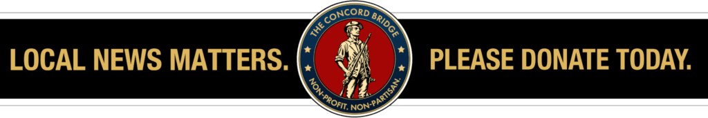 Submit The Concord Bridge