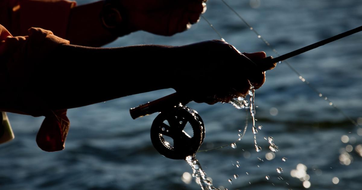 The rise of skills: What you need to know about the latest travel trend