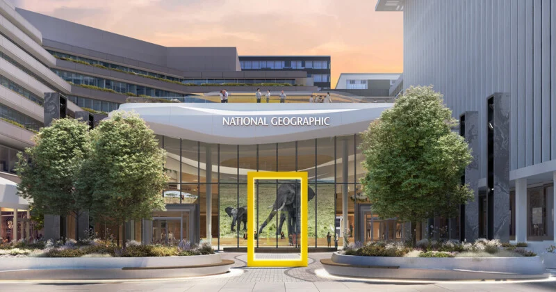 A modern building with "National Geographic" sign, a large glass door, and a bright yellow rectangular frame on the front. Two life-size elephant statues are visible inside; people stand on the balcony above the door.