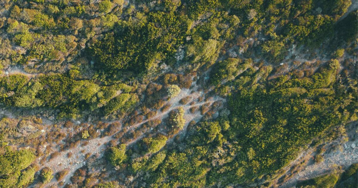 15 Things You Need to Know About Fashion and Beauty This April - Good for You