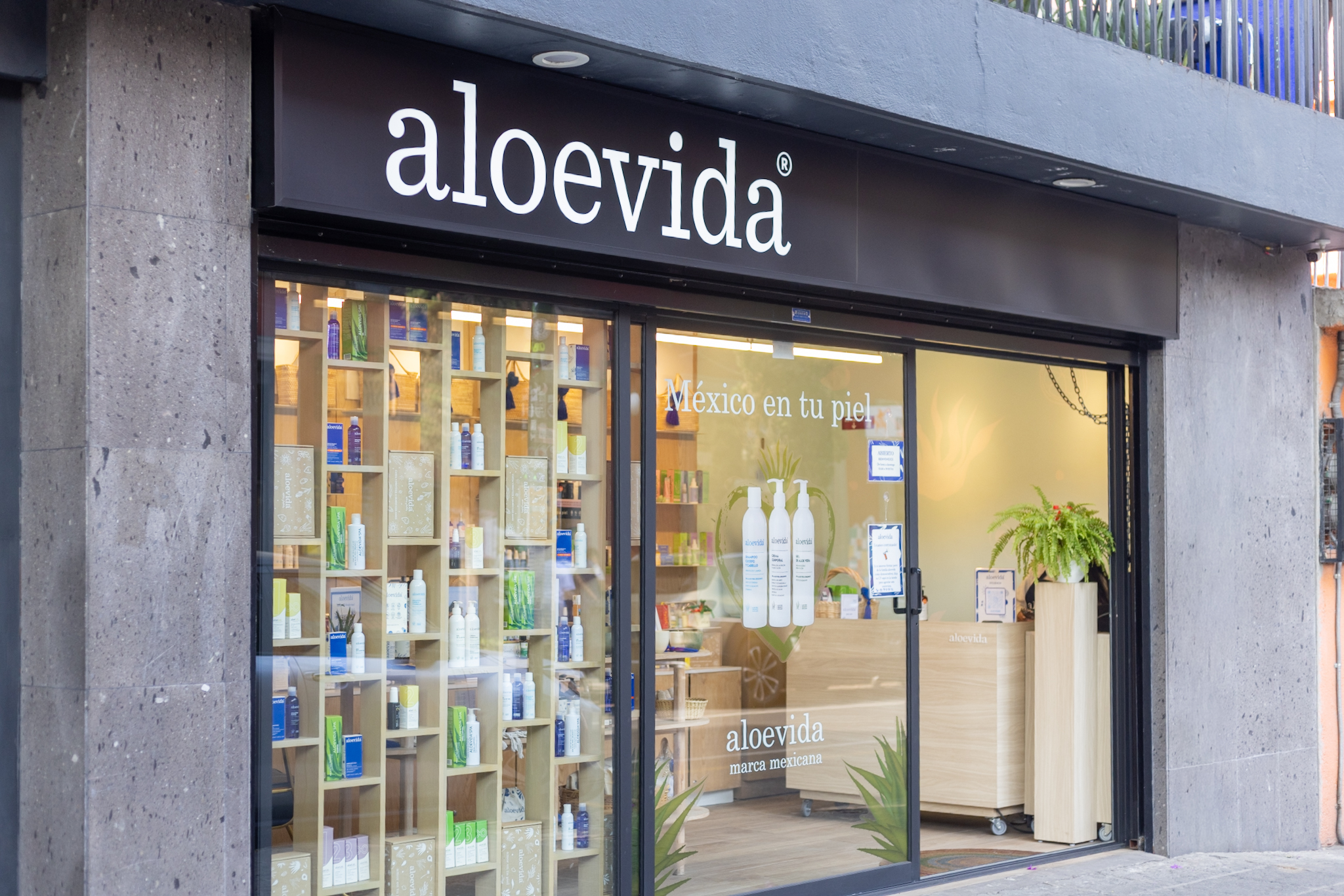 A Beauty Lover's Guide to Mexico City