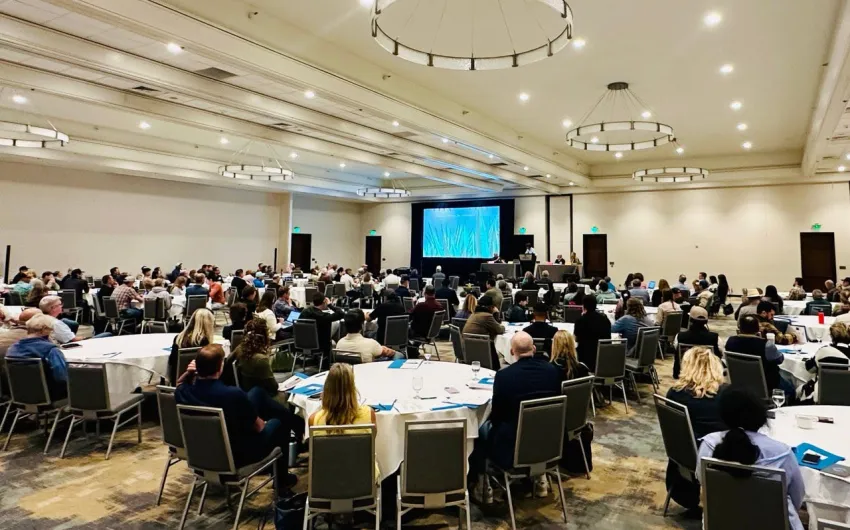 Belly Full Files | Agave Enthusiasts Combine & Tamale Recipe of the Day Winner