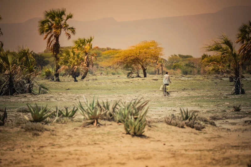 A person is riding a bicycle in a dry, grassy area with scattered palm trees and bushes, under a cloudy sky with distant mountains in the background.