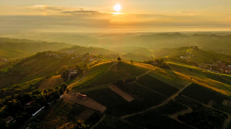 Aerial view of green hills and vineyards at sunset, with sunlight illuminating the landscape and small clusters of buildings scattered throughout.