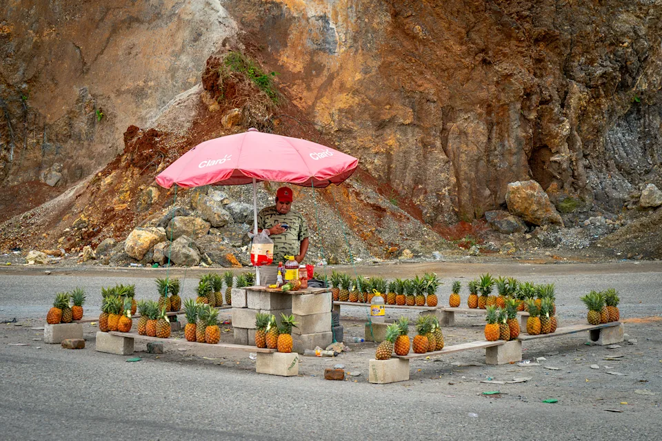 A pineapple chair by the road and a man under a pink umbrella. The bench is made of cinder blocks, and the pineapples are arranged neatly in the rocky area
