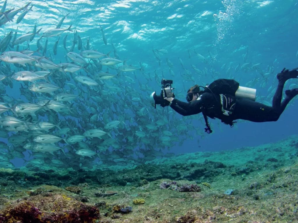 Shooting a school of jackfish - photo by Brett Lobwein