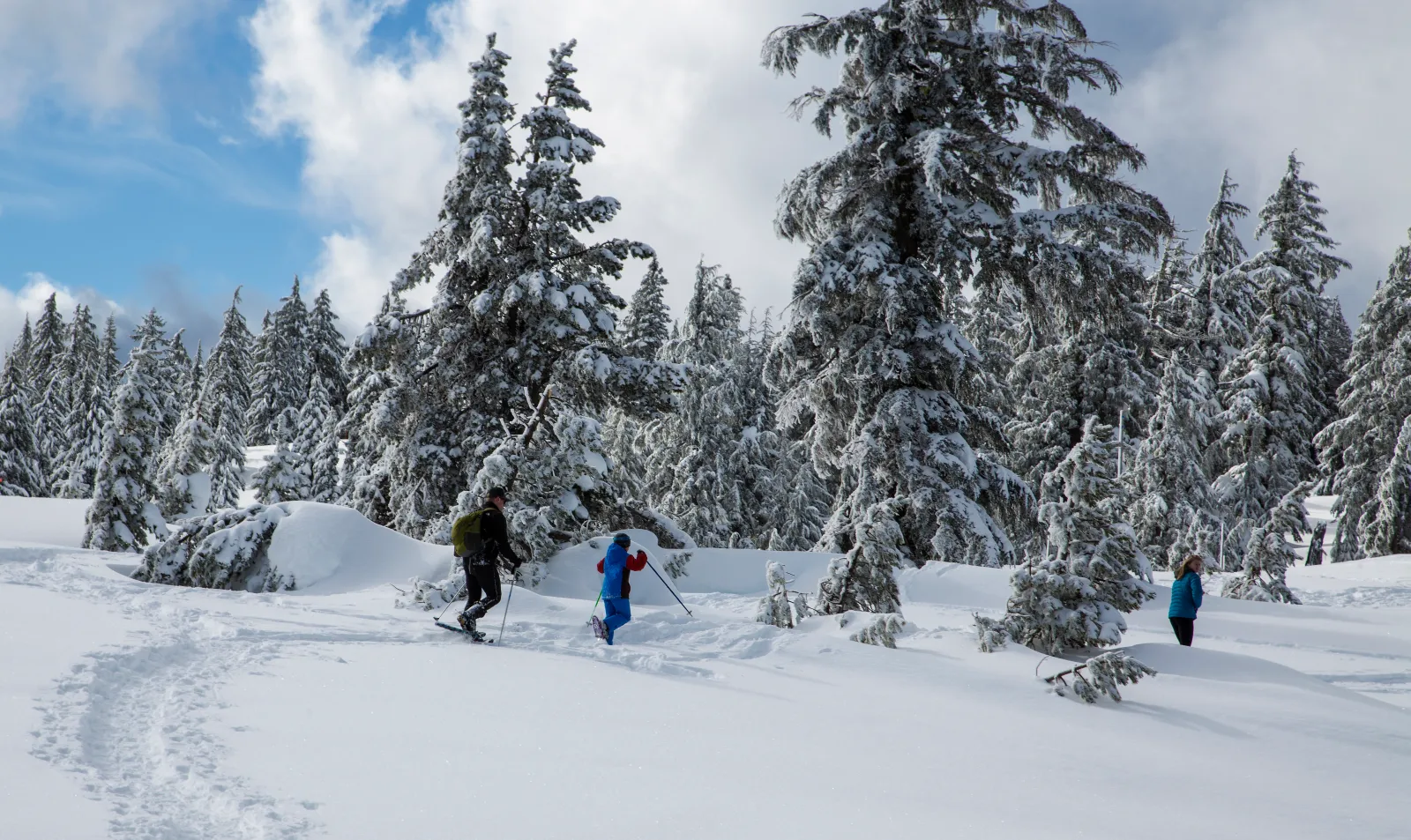 30-inch snowfall warning: 'Consider delaying all travel'