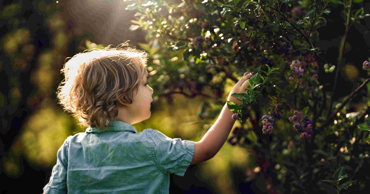 Walden Photographer Covers 2026 Kingdom Book